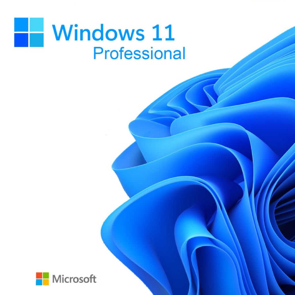 Windows 11 Professional Key